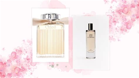 zara dupe chloe